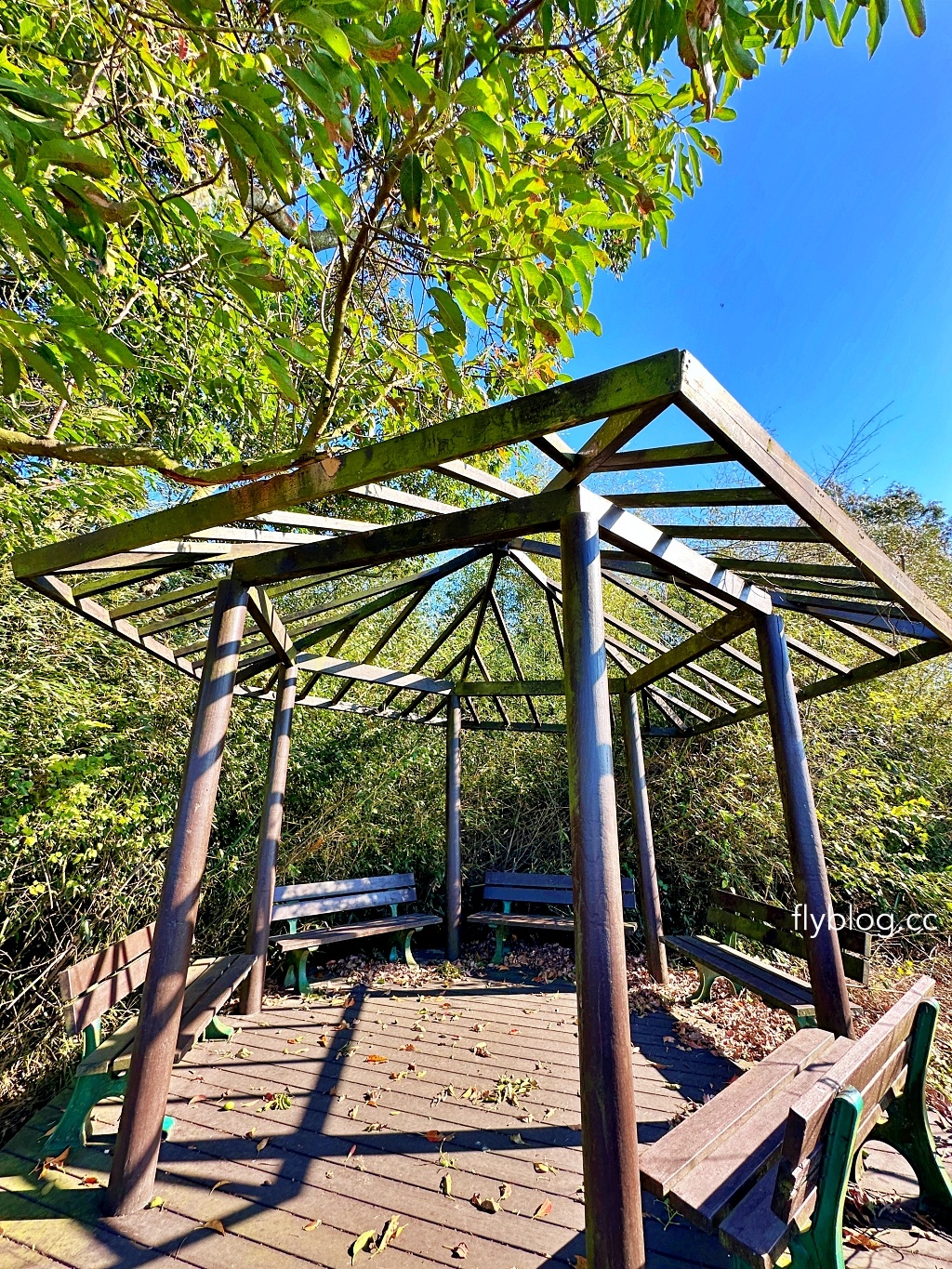台中后里｜鳳凰山步道．沿路許多涼亭和觀景台，路線好走又有林蔭遮敝 @飛天璇的口袋