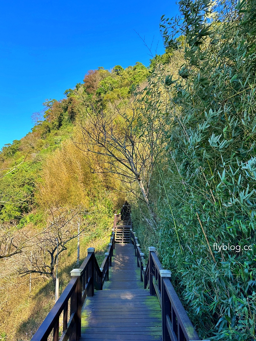 台中后里｜鳳凰山步道．沿路許多涼亭和觀景台，路線好走又有林蔭遮敝 @飛天璇的口袋