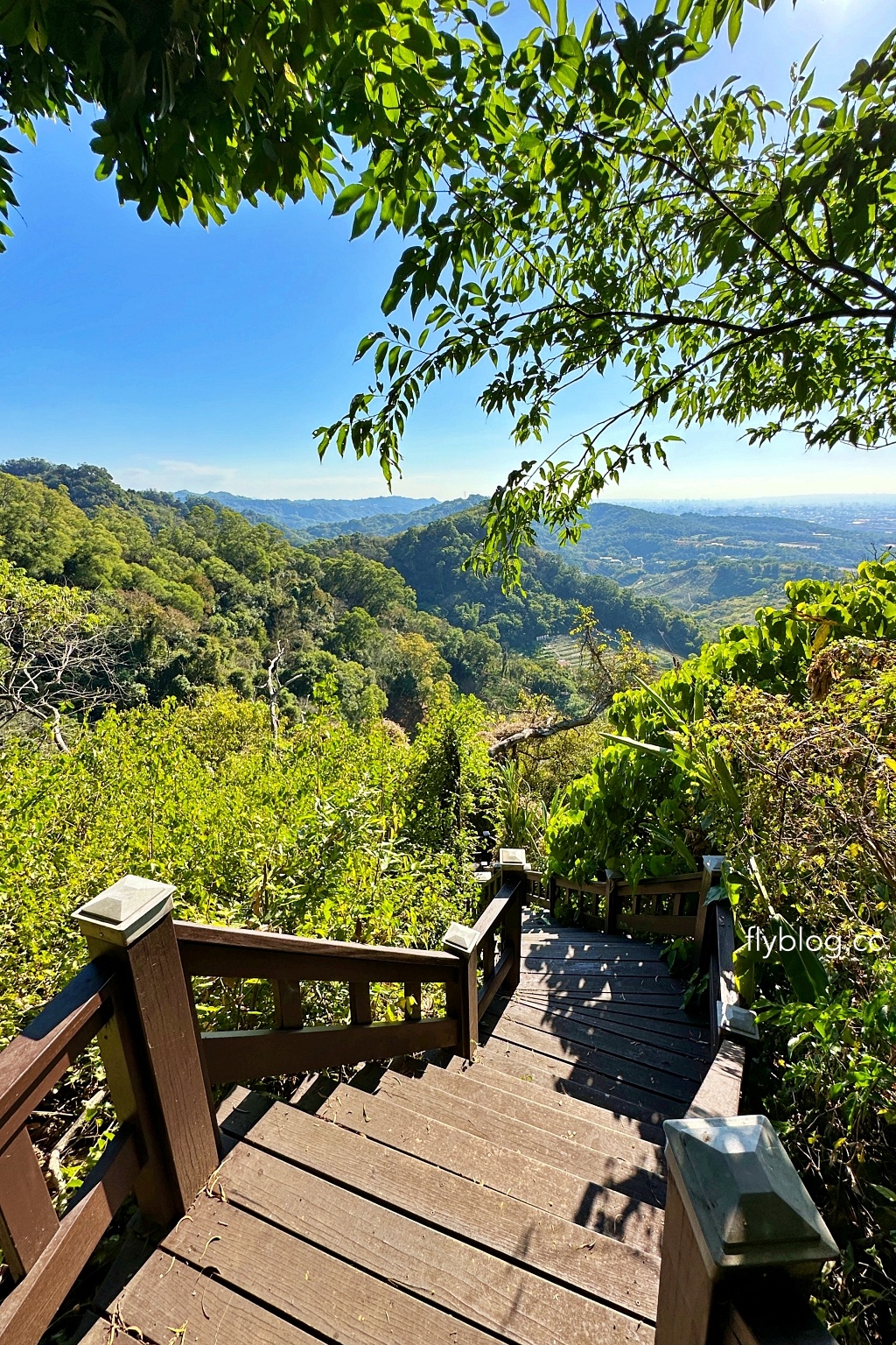 台中后里｜鳳凰山步道．沿路許多涼亭和觀景台，路線好走又有林蔭遮敝 @飛天璇的口袋