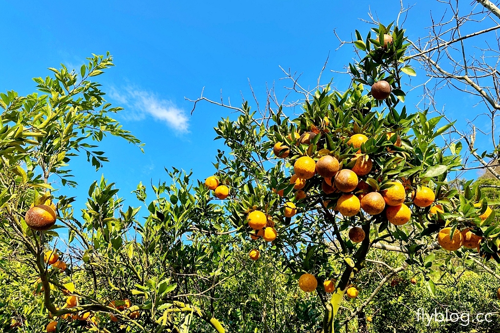 台中后里｜鳳凰山步道．沿路許多涼亭和觀景台，路線好走又有林蔭遮敝 @飛天璇的口袋