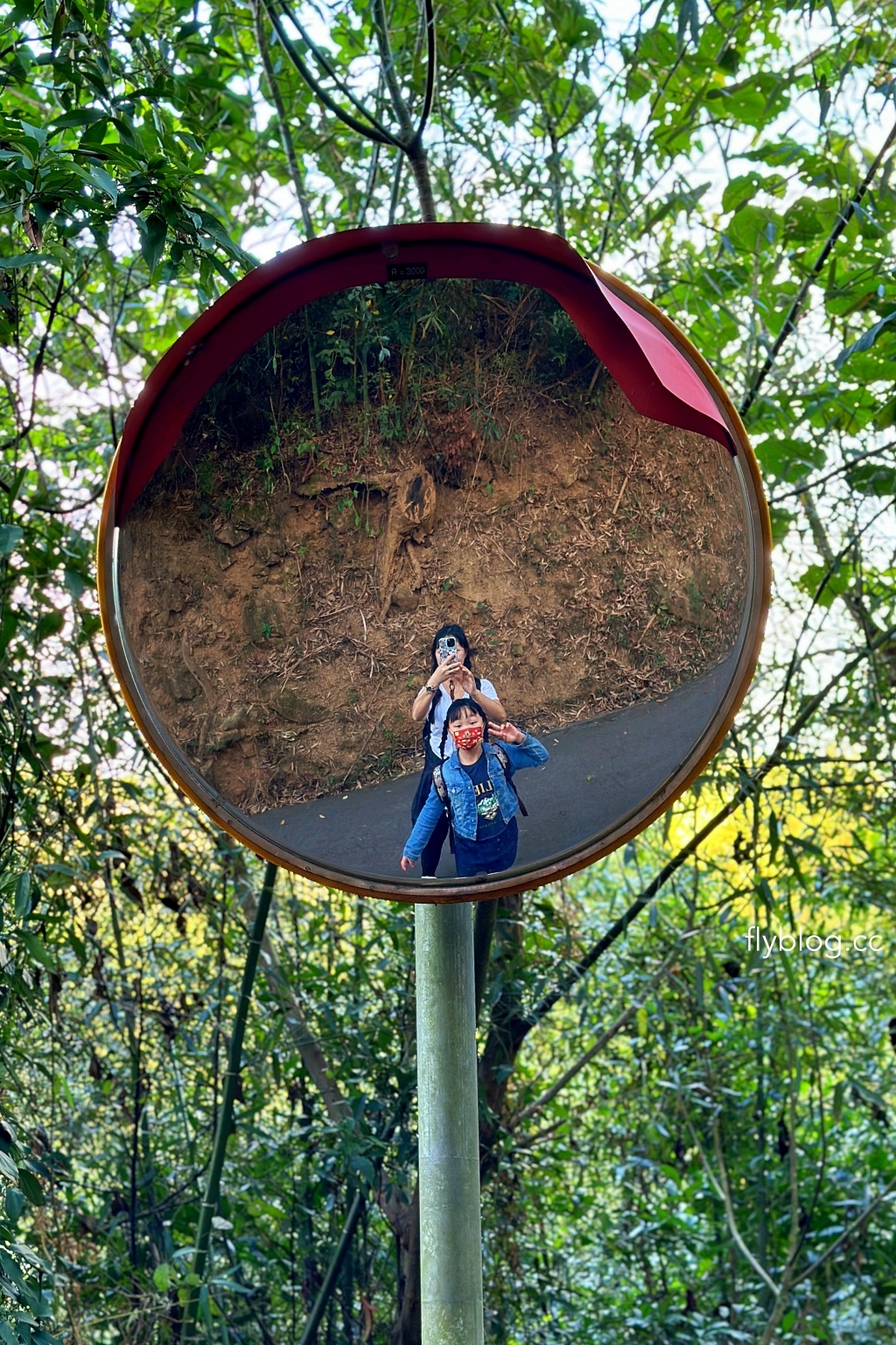台中后里｜鳳凰山步道．沿路許多涼亭和觀景台，路線好走又有林蔭遮敝 @飛天璇的口袋