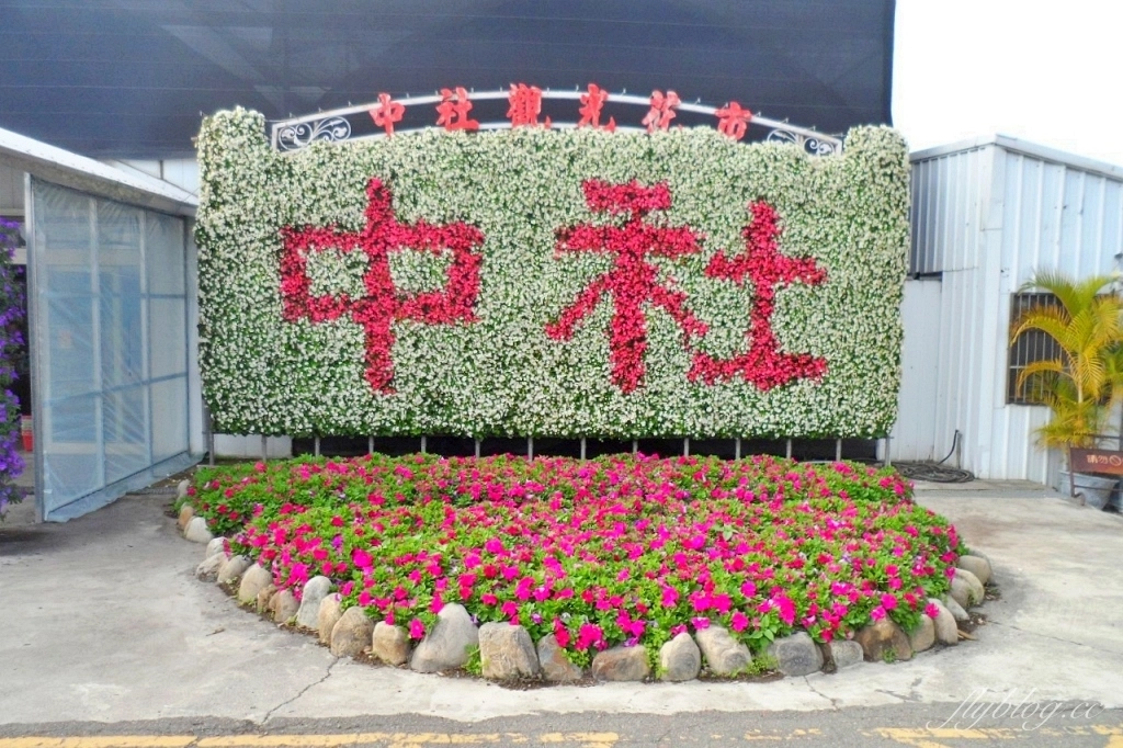 中社觀光花市花海｜鬱金香花海正美，一年四季不同的花卉，還有BBQ烤肉同樂區 @飛天璇的口袋