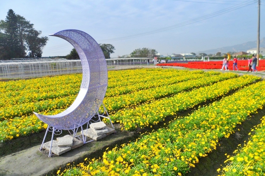 中社觀光花市花海｜鬱金香花海正美，一年四季不同的花卉，還有BBQ烤肉同樂區 @飛天璇的口袋