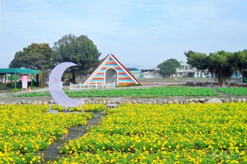 中社觀光花市花海｜鬱金香花海正美，一年四季不同的花卉，還有BBQ烤肉同樂區 @飛天璇的口袋