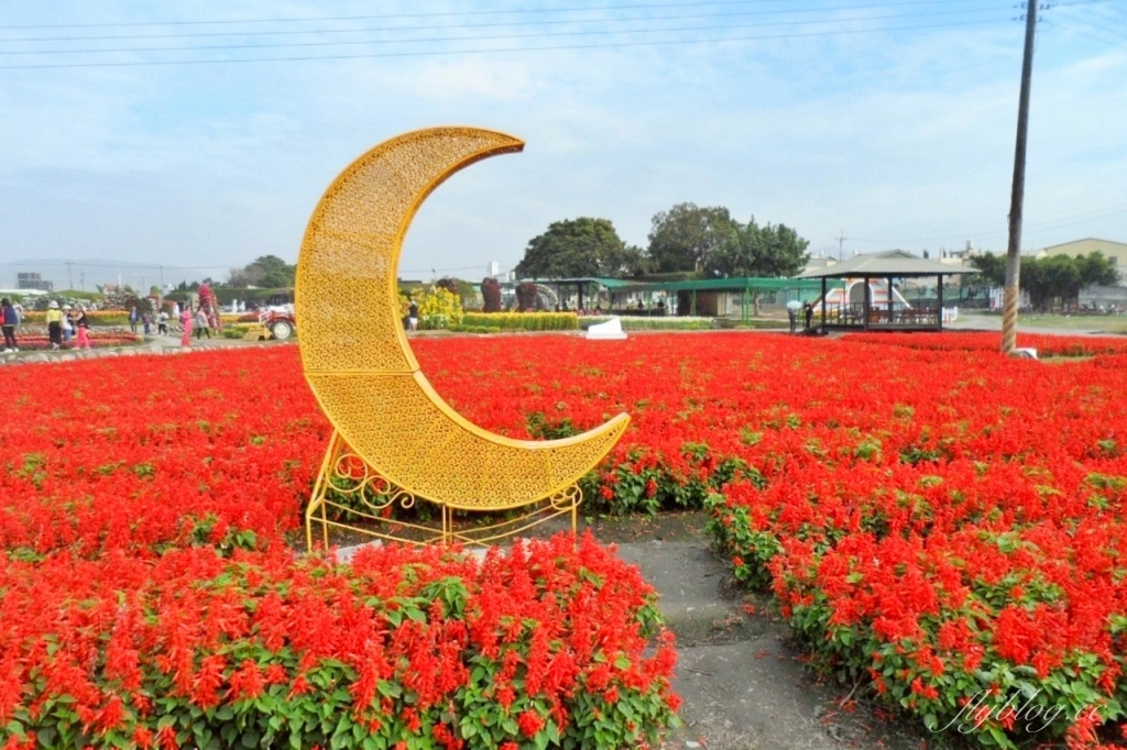 中社觀光花市花海｜鬱金香花海正美，一年四季不同的花卉，還有BBQ烤肉同樂區 @飛天璇的口袋