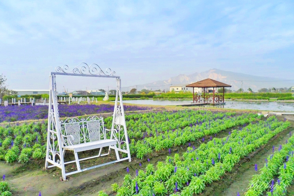 中社觀光花市花海｜鬱金香花海正美，一年四季不同的花卉，還有BBQ烤肉同樂區 @飛天璇的口袋