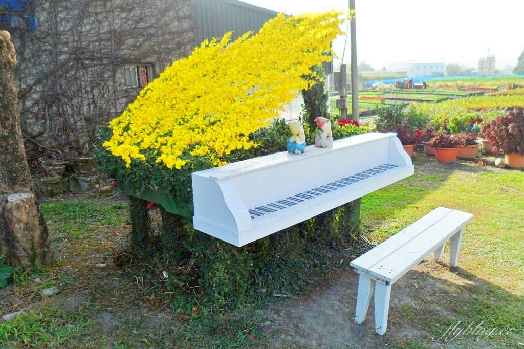 中社觀光花市花海｜鬱金香花海正美，一年四季不同的花卉，還有BBQ烤肉同樂區 @飛天璇的口袋
