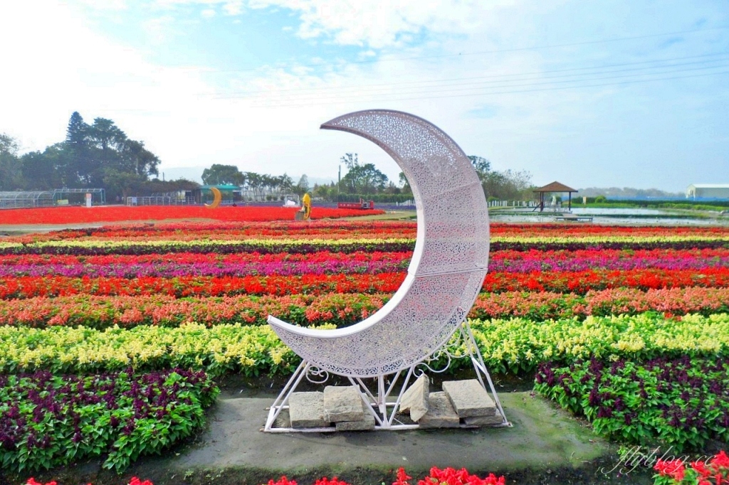 中社觀光花市花海｜鬱金香花海正美，一年四季不同的花卉，還有BBQ烤肉同樂區 @飛天璇的口袋