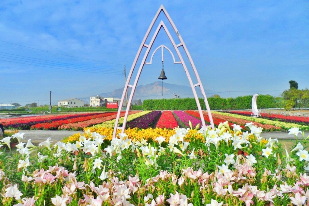 中社觀光花市花海｜鬱金香花海正美，一年四季不同的花卉，還有BBQ烤肉同樂區 @飛天璇的口袋