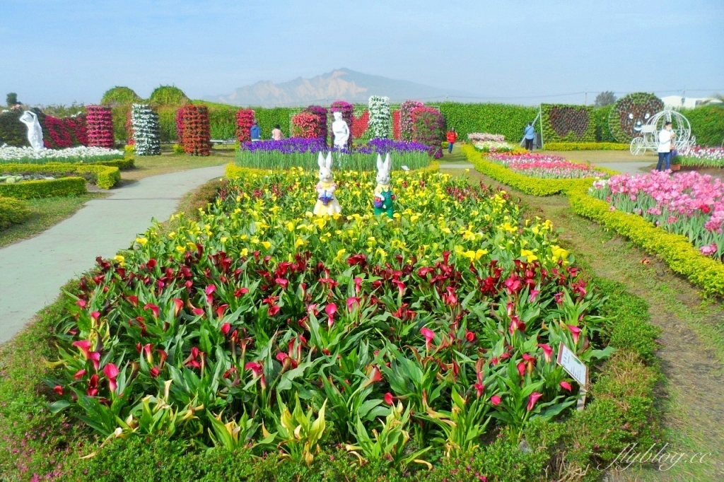 中社觀光花市花海｜鬱金香花海正美，一年四季不同的花卉，還有BBQ烤肉同樂區 @飛天璇的口袋