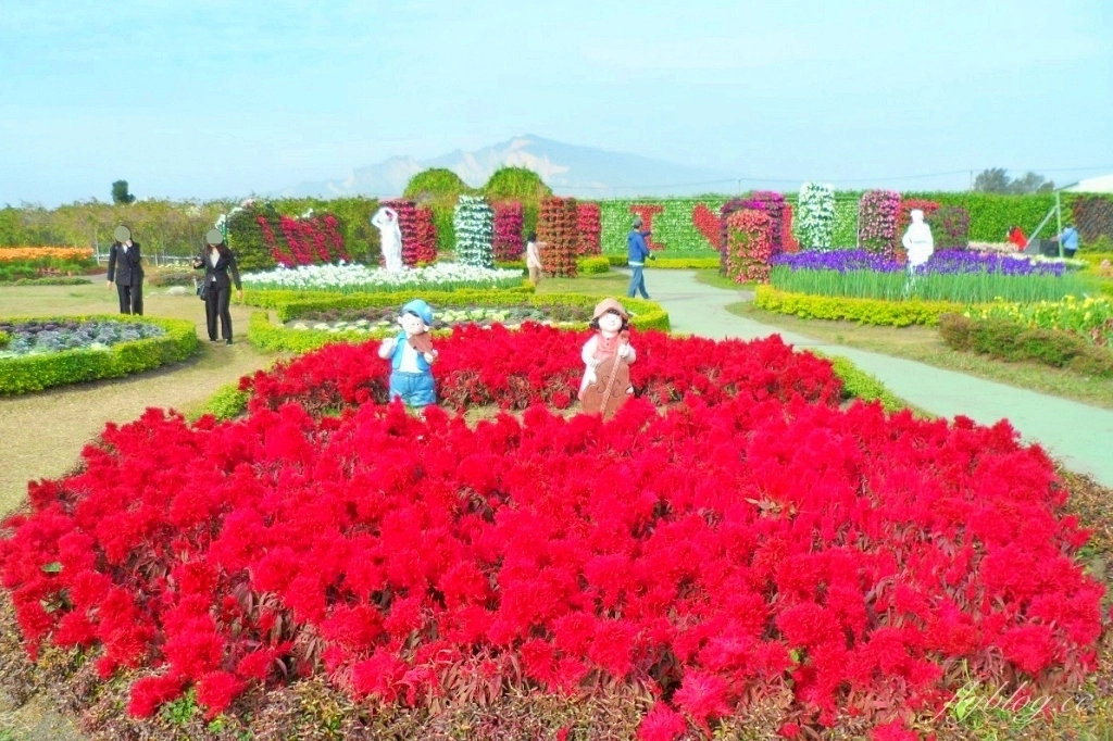 中社觀光花市花海｜鬱金香花海正美，一年四季不同的花卉，還有BBQ烤肉同樂區 @飛天璇的口袋