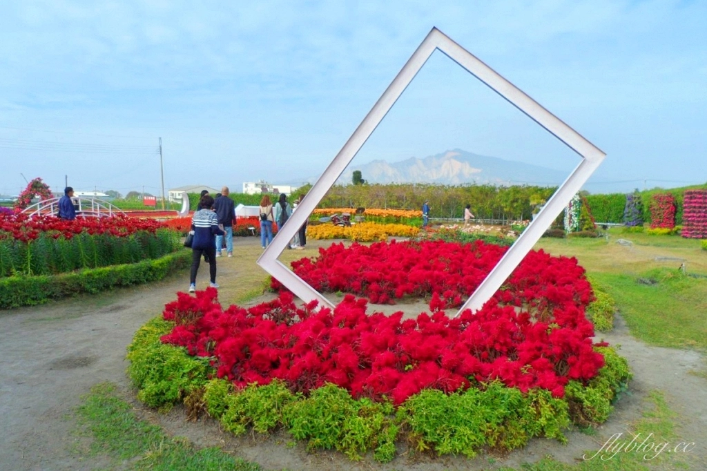 中社觀光花市花海｜鬱金香花海正美，一年四季不同的花卉，還有BBQ烤肉同樂區 @飛天璇的口袋