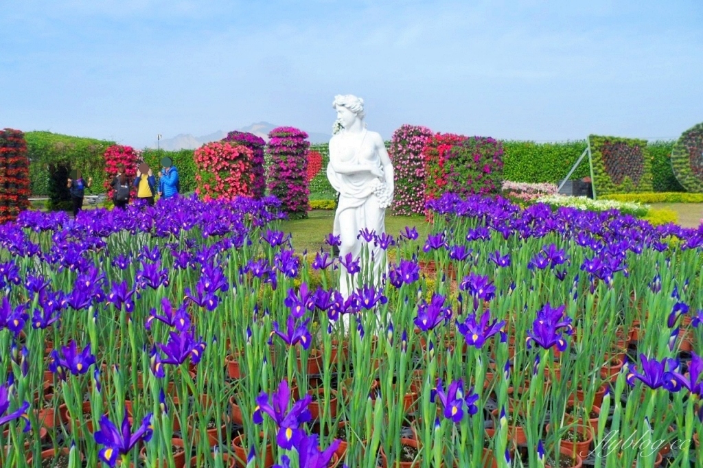中社觀光花市花海｜鬱金香花海正美，一年四季不同的花卉，還有BBQ烤肉同樂區 @飛天璇的口袋