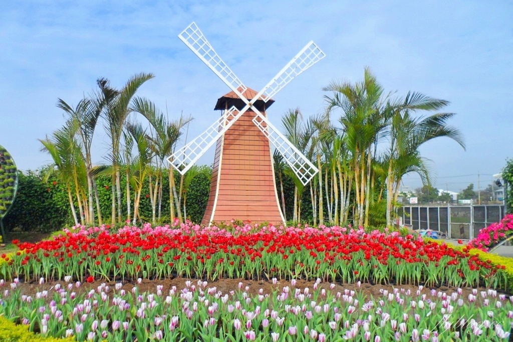 中社觀光花市花海｜鬱金香花海正美，一年四季不同的花卉，還有BBQ烤肉同樂區 @飛天璇的口袋