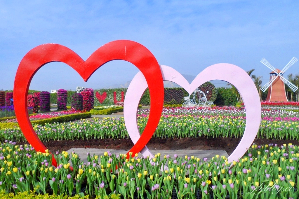 中社觀光花市花海｜鬱金香花海正美，一年四季不同的花卉，還有BBQ烤肉同樂區 @飛天璇的口袋