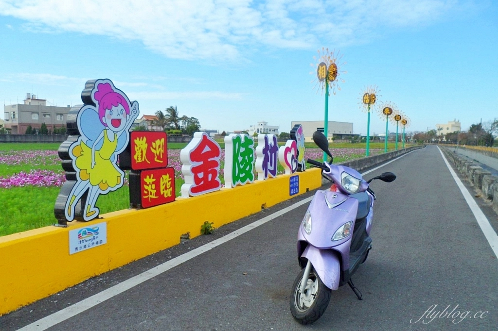 彰化秀水｜金陵村花海盛開中，日本味十足的建築寶灝禪寺，金陵風箏花海節1/15開跑 @飛天璇的口袋