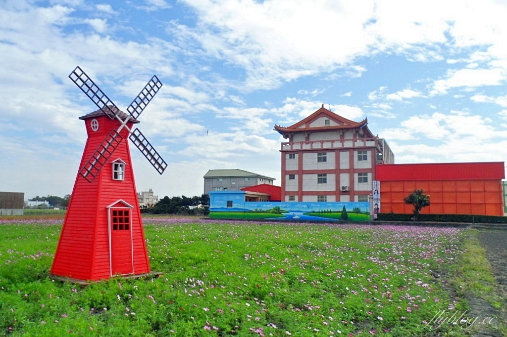 彰化秀水｜金陵村花海盛開中，日本味十足的建築寶灝禪寺，金陵風箏花海節1/15開跑 @飛天璇的口袋