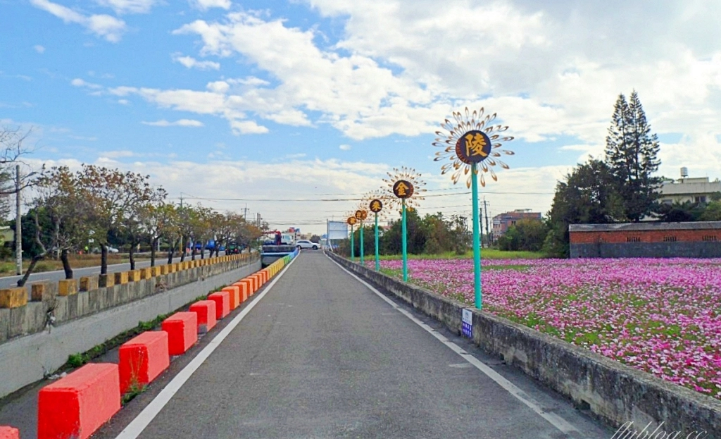 彰化秀水｜金陵村花海盛開中，日本味十足的建築寶灝禪寺，金陵風箏花海節1/15開跑 @飛天璇的口袋