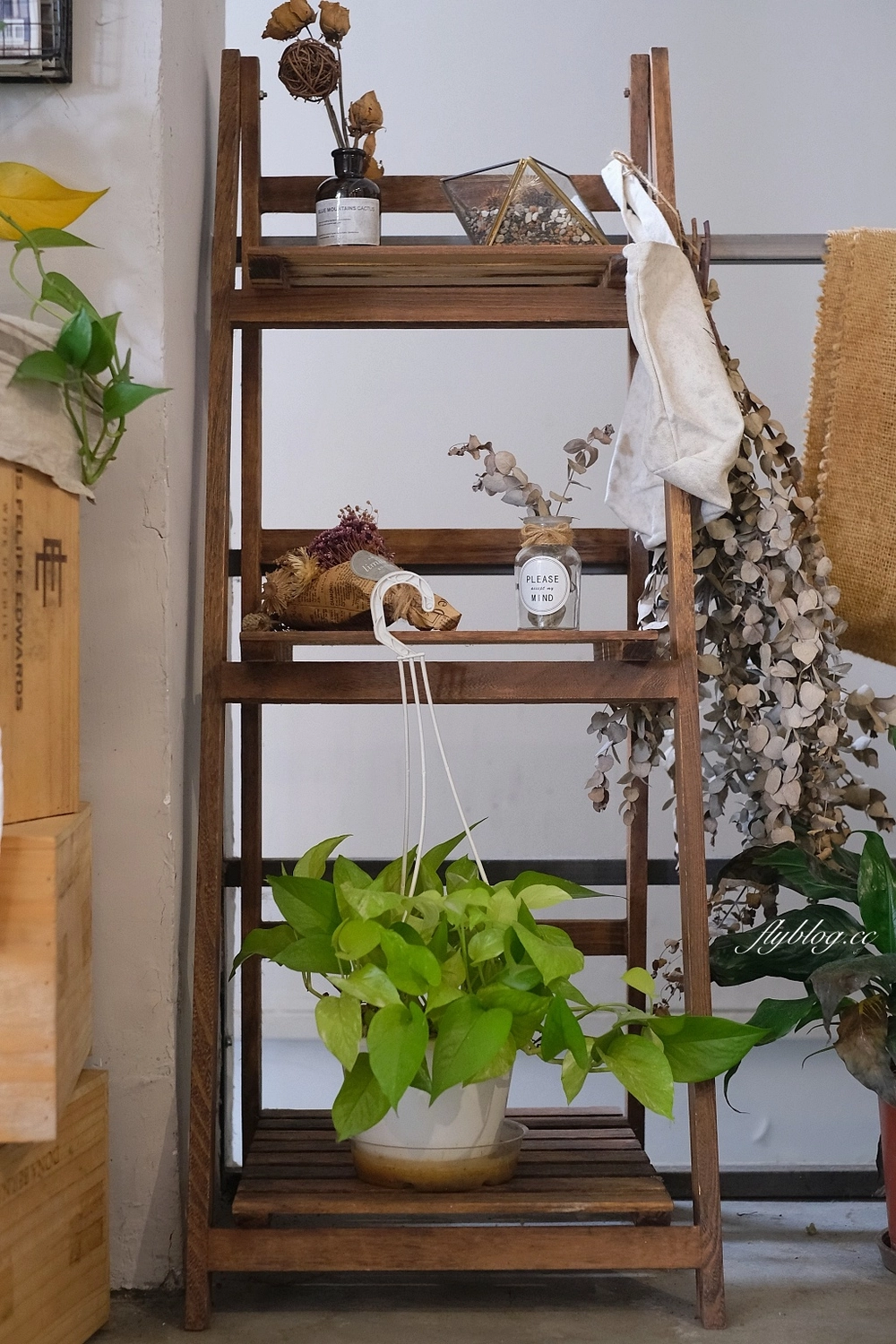 桃園中壢｜綠沐恬拾 Caf&eacute; & P&acirc;tisserie，佈滿植栽的溫室風咖啡館，品嚐甜點的同時也享受生活美學 @飛天璇的口袋