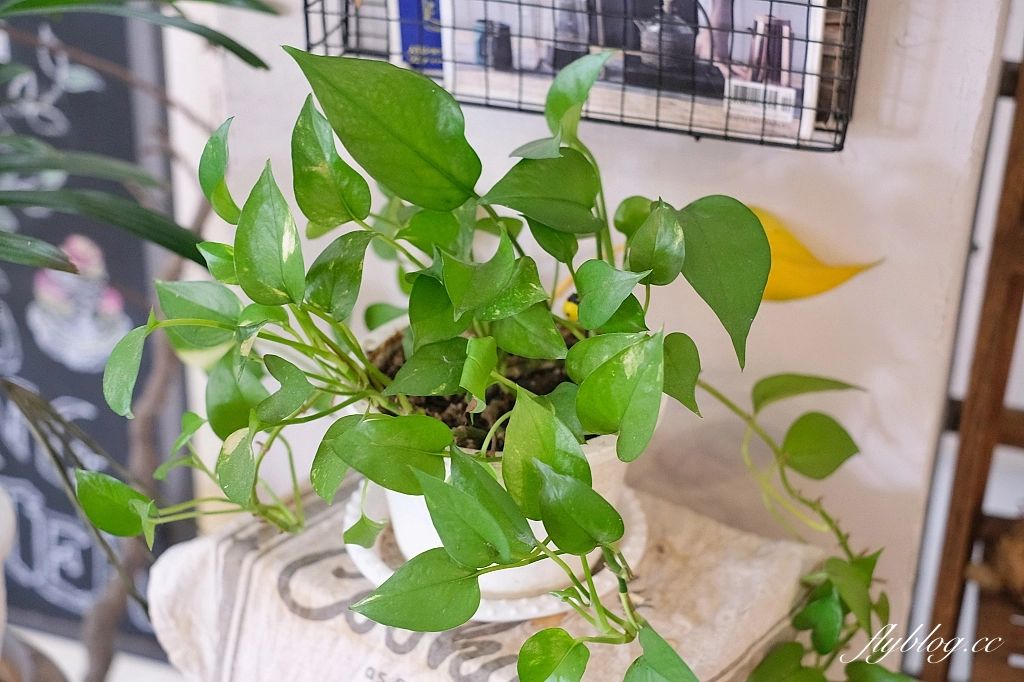 桃園中壢｜綠沐恬拾 Caf&eacute; & P&acirc;tisserie，佈滿植栽的溫室風咖啡館，品嚐甜點的同時也享受生活美學 @飛天璇的口袋