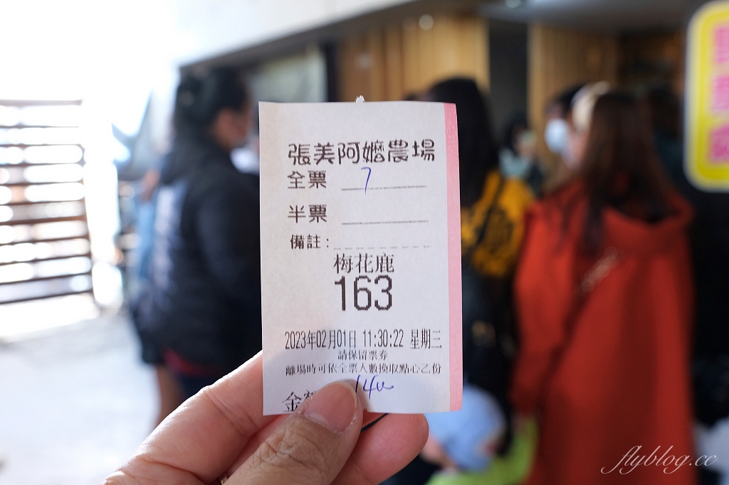 宜蘭三星｜張美阿嬤農場．可愛的笑笑羊和呆萌的水豚君，買套票兌換DIY和和服體驗 @飛天璇的口袋