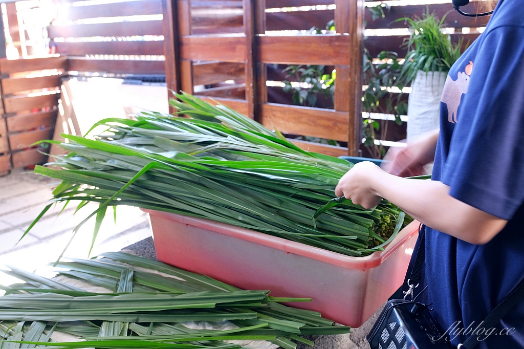 宜蘭三星｜張美阿嬤農場．可愛的笑笑羊和呆萌的水豚君，買套票兌換DIY和和服體驗 @飛天璇的口袋