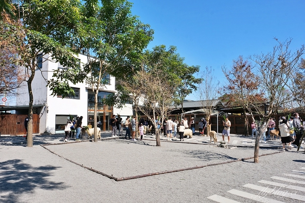 宜蘭三星｜張美阿嬤農場．可愛的笑笑羊和呆萌的水豚君，買套票兌換DIY和和服體驗 @飛天璇的口袋