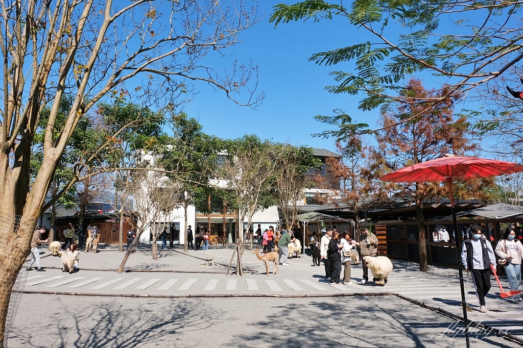 宜蘭三星｜張美阿嬤農場．可愛的笑笑羊和呆萌的水豚君，買套票兌換DIY和和服體驗 @飛天璇的口袋