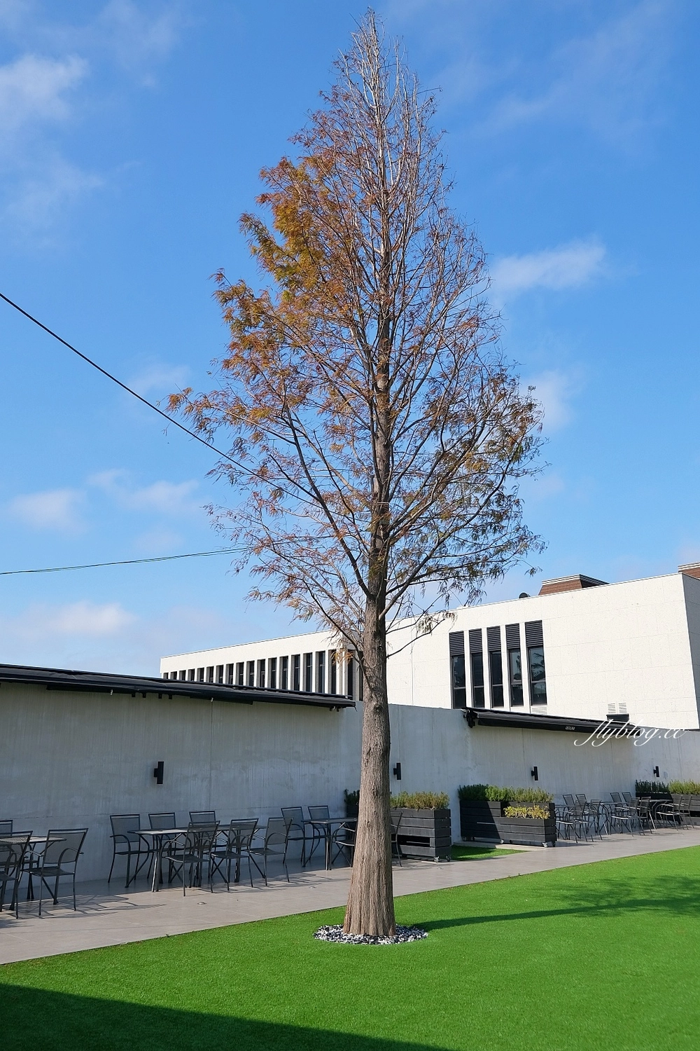 台中西屯｜GEOLIAM 門門，大片草皮的野餐風網美咖啡館，面對整排西屯豪宅歐式建築 @飛天璇的口袋