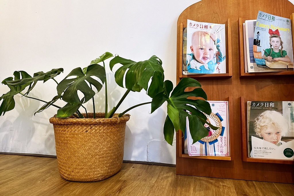 桃園甜點｜辺間屋梅子，風禾公園附近文青風咖啡館，除了甜食也有鹹食供應 @飛天璇的口袋