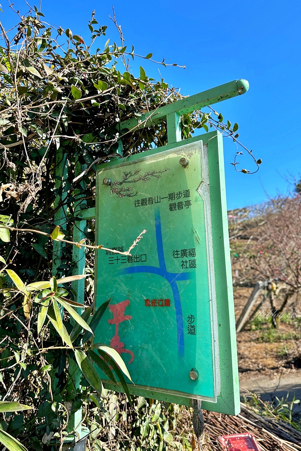 台中后里｜鳳凰山步道．沿路許多涼亭和觀景台，路線好走又有林蔭遮敝 @飛天璇的口袋