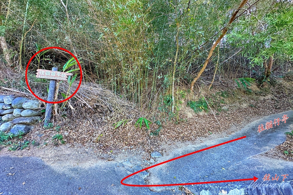 台中后里｜鳳凰山步道．沿路許多涼亭和觀景台，路線好走又有林蔭遮敝 @飛天璇的口袋