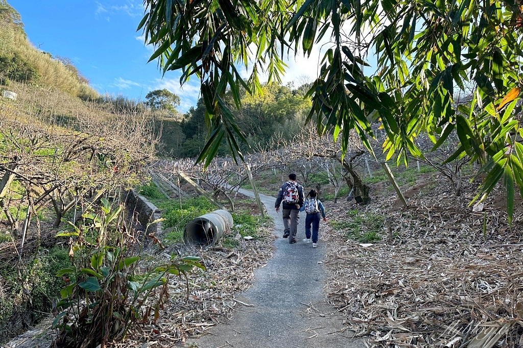 台中后里｜鳳凰山步道．沿路許多涼亭和觀景台，路線好走又有林蔭遮敝 @飛天璇的口袋