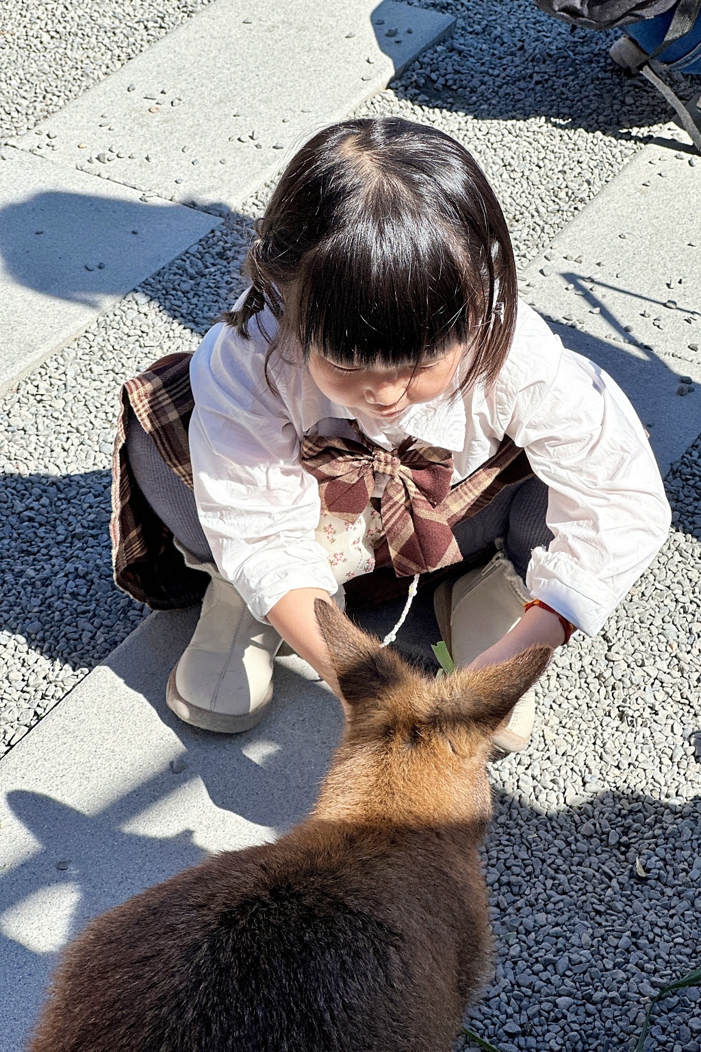 宜蘭三星｜張美阿嬤農場．可愛的笑笑羊和呆萌的水豚君，買套票兌換DIY和和服體驗 @飛天璇的口袋