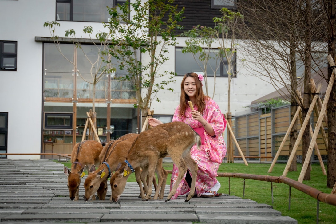 宜蘭三星｜張美阿嬤農場．可愛的笑笑羊和呆萌的水豚君，買套票兌換DIY和和服體驗 @飛天璇的口袋