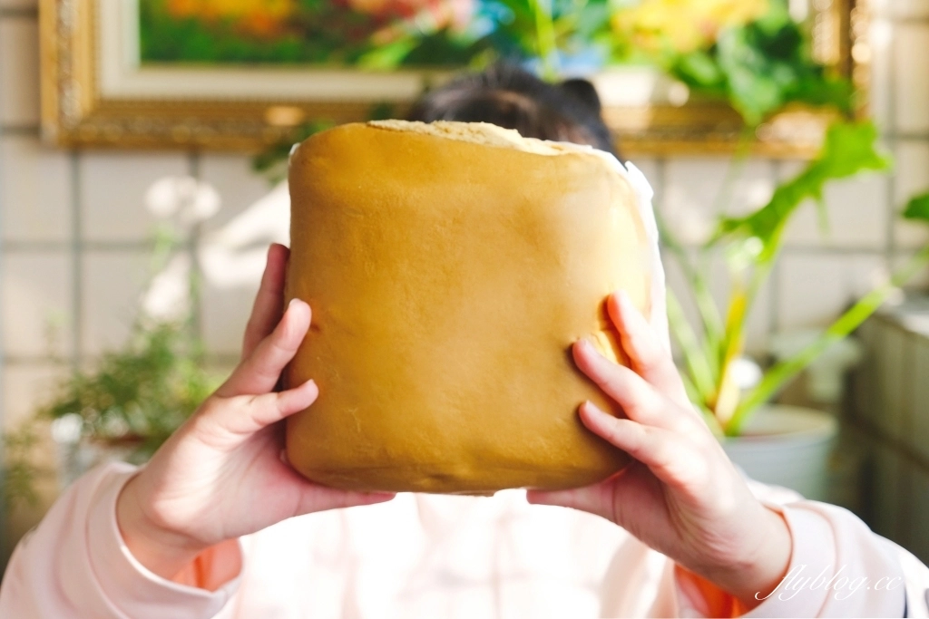 南投旅遊｜埔里2天1夜這樣玩！桃米村高級露營風民宿，走景點吃美食買伴手禮 @飛天璇的口袋