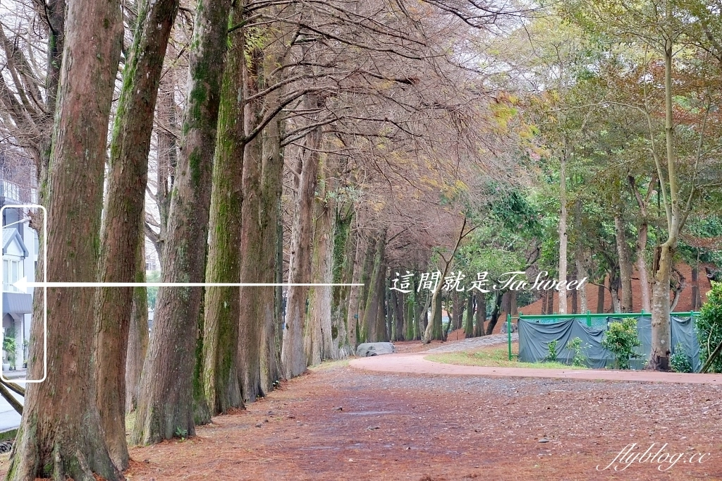 宜蘭羅東｜TaSweet菓子屋，從台北搬到羅東，朋友圈推薦全台第一的水果蛋糕捲 @飛天璇的口袋