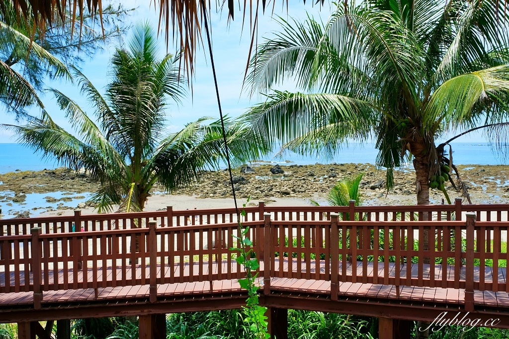 台東東河｜可可娜咖啡，坐擁180度太平洋海景，台東看海的景觀餐廳(附菜單) @飛天璇的口袋