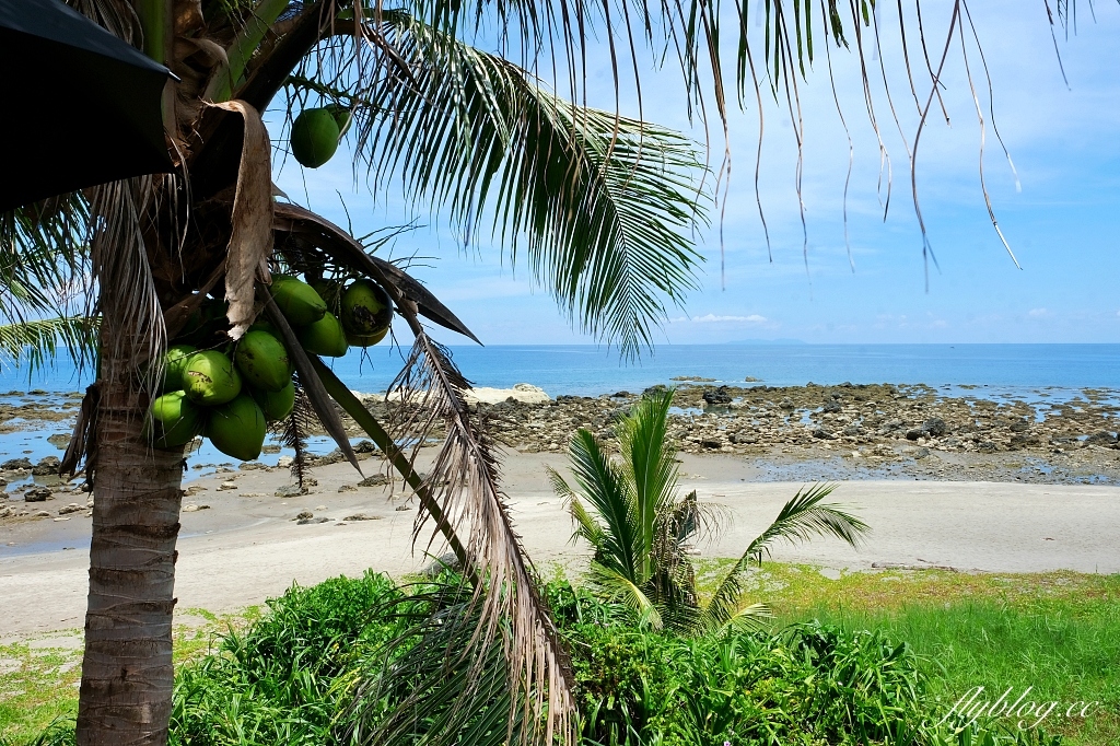 台東東河｜可可娜咖啡，坐擁180度太平洋海景，台東看海的景觀餐廳(附菜單) @飛天璇的口袋
