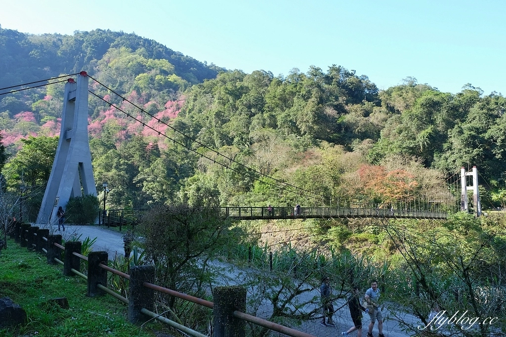 宜蘭大同｜鳩之澤溫泉，群山環繞的夢幻藍湖溫泉，還可以煮溫泉蛋和溫泉玉米 @飛天璇的口袋