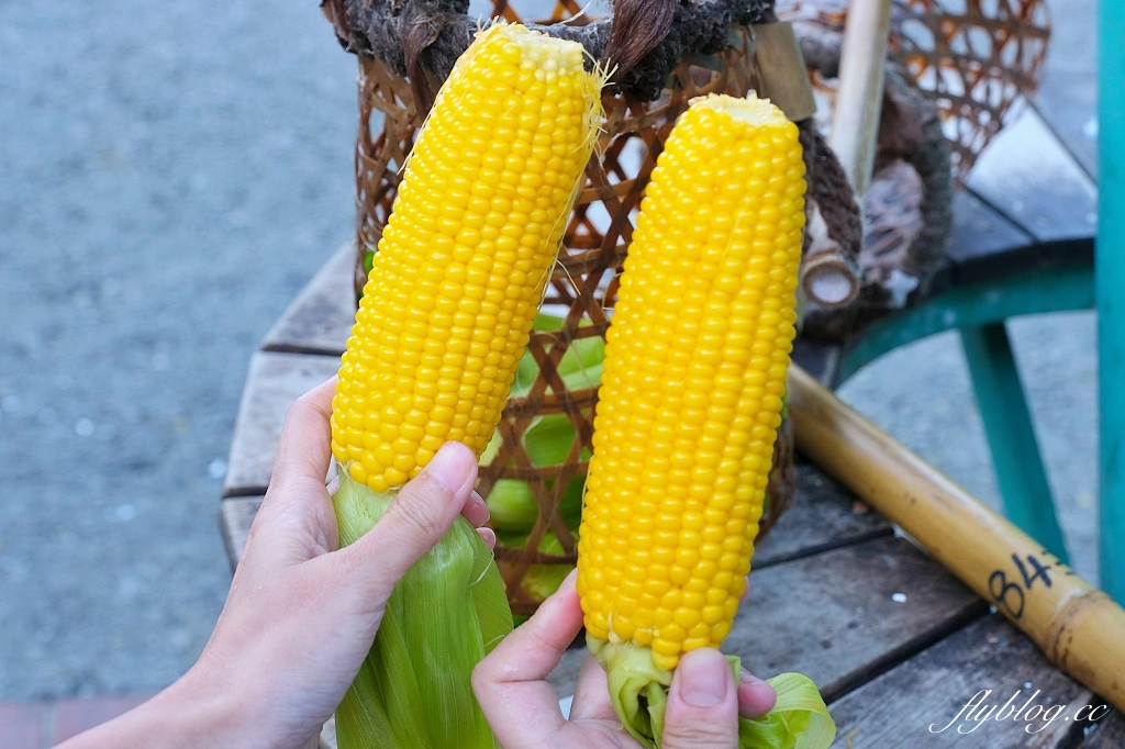 宜蘭大同｜鳩之澤溫泉，群山環繞的夢幻藍湖溫泉，還可以煮溫泉蛋和溫泉玉米 @飛天璇的口袋