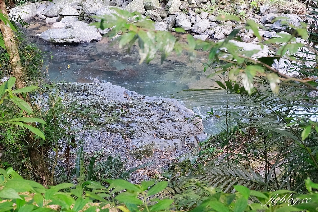 新北三峽｜滿月圓森林遊樂區，適合全家出遊的親子步道，享受芬多精的最佳森林浴場所 @飛天璇的口袋