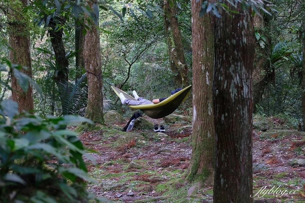 新北三峽｜滿月圓森林遊樂區，適合全家出遊的親子步道，享受芬多精的最佳森林浴場所 @飛天璇的口袋
