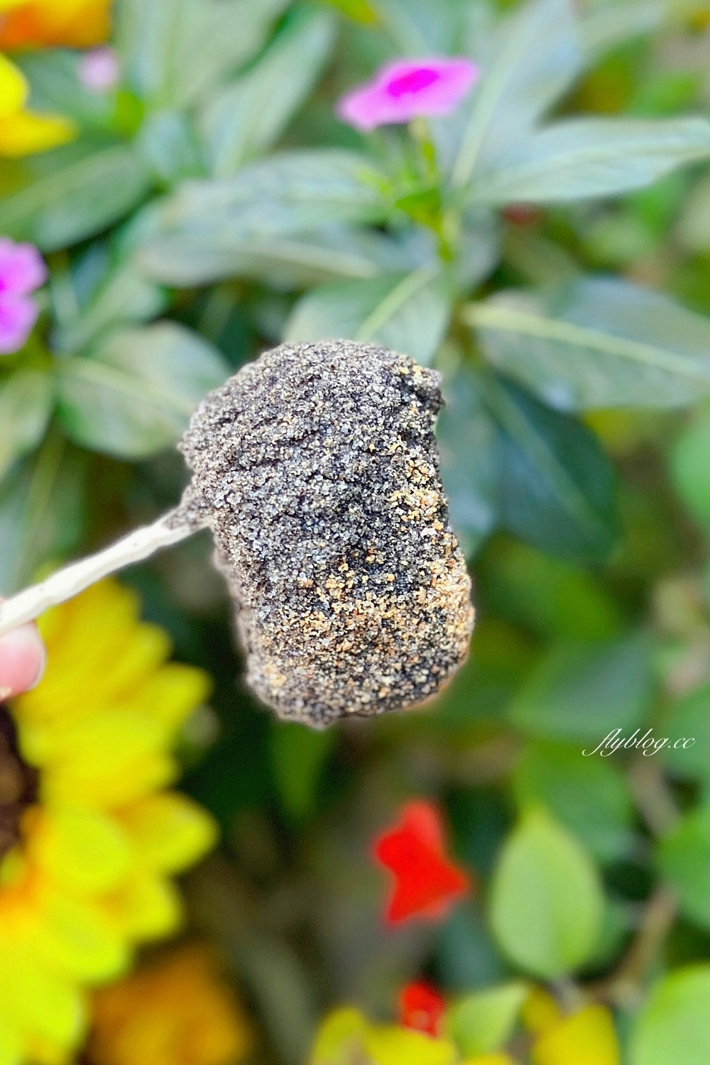 台中西區|洪記燒麻糬,隱身向上市場裡的燒麻糬攤,白白胖胖的好療癒 @飛天璇的口袋 台中西區|洪記燒麻糬,隱身向上市場裡的燒麻糬攤,白白胖胖的好療癒 @飛天璇的口袋