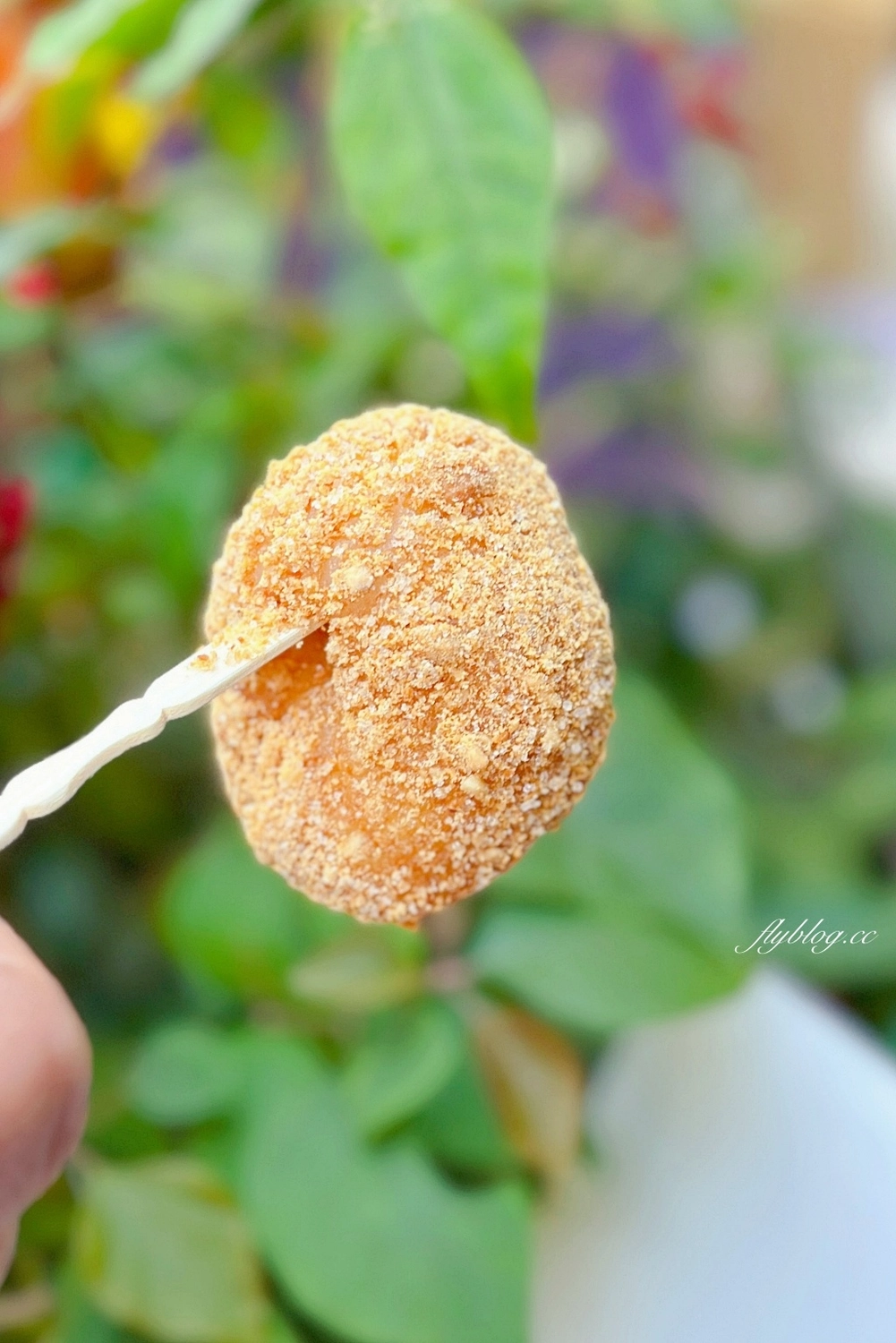 台中西區|洪記燒麻糬,隱身向上市場裡的燒麻糬攤,白白胖胖的好療癒 @飛天璇的口袋 台中西區|洪記燒麻糬,隱身向上市場裡的燒麻糬攤,白白胖胖的好療癒 @飛天璇的口袋