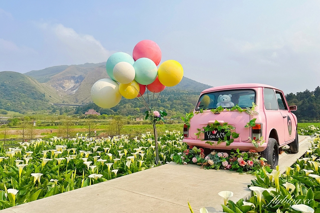 台北北投｜名陽匍休閒農莊，陽明山海芋季開始了，可愛粉紅噗噗車超好拍 @飛天璇的口袋
