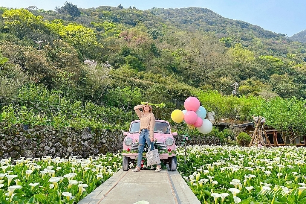 台北北投｜名陽匍休閒農莊，陽明山海芋季開始了，可愛粉紅噗噗車超好拍 @飛天璇的口袋