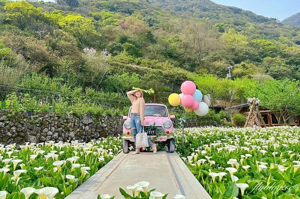 台北北投｜名陽匍休閒農莊，陽明山海芋季開始了，可愛粉紅噗噗車超好拍 @飛天璇的口袋