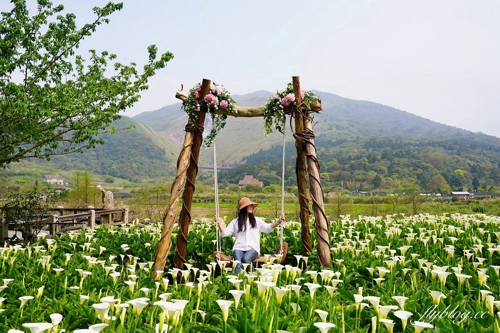 台北景點｜陽明山一日遊．春暖花開陽明山賞花，吃土雞走步道，再到秘境喝下午茶 @飛天璇的口袋