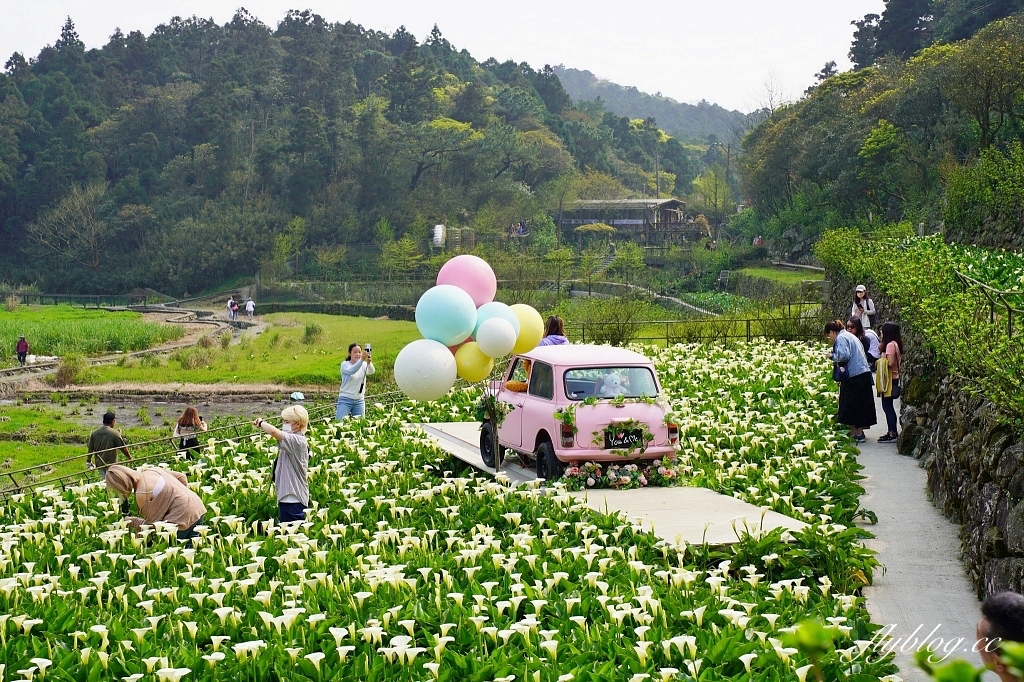 台北北投｜名陽匍休閒農莊，陽明山海芋季開始了，可愛粉紅噗噗車超好拍 @飛天璇的口袋